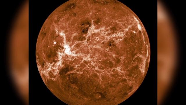 Михалыч VS Палыч