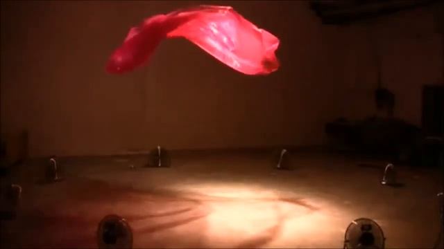 Acme Experience Magic Carpet смотреть онлайн