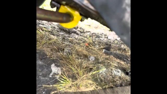 Замена сальников стойки стабилизатора смотреть онлайн