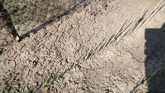 Последние вздохи зимы!А на последок -5.