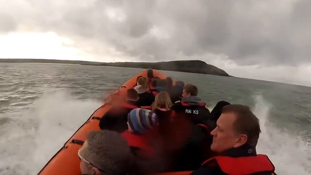 GoPro - Sealife Safari смотреть онлайн