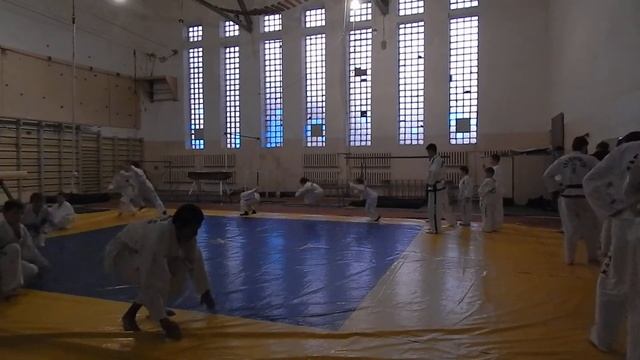 Семинар по тхэквондо (ИТФ) 8/ смотреть онлайн