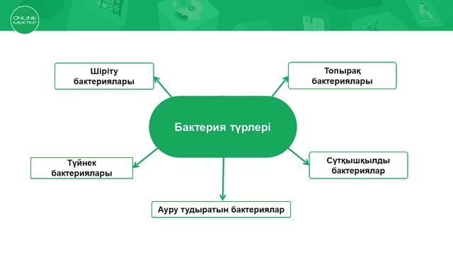7 - сынып. Биология. Бактериялардың формаларының әртүрлілігі, олардың маңызы. 13.05.2020 смотреть онлайн