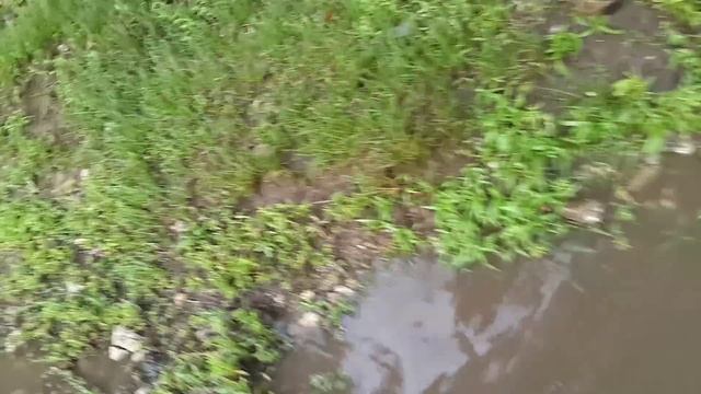 Каховка в венецианском стиле - 8