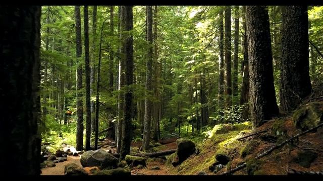 Muzika relax,spa relax music, music 24/7 расслабляющая музыка смотреть онлайн