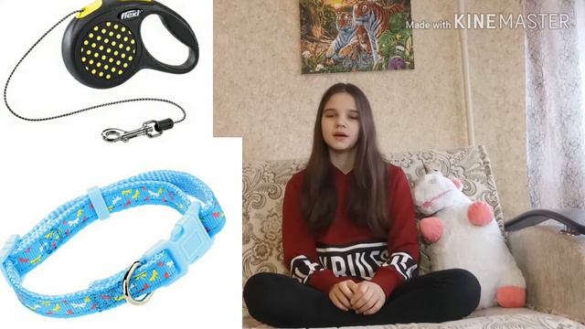 Что нужно для появления щенка в доме?// Totonapht смотреть онлайн