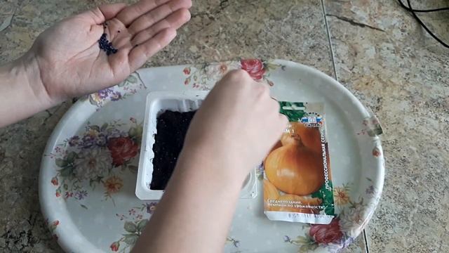 Лук репчатый выращивание рассады сорт для выращивания в однолетней культуре из семян СЕДЕК смотреть онлайн