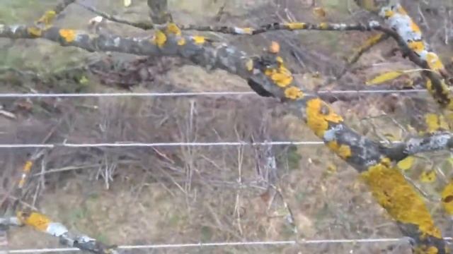 Рядом с проводами на зарядке 35 кВ смотреть онлайн