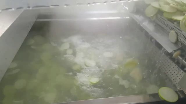 Линия для производства овощных чипсов (Низкотемпературная вакуумная обжарка/сушка) Китай