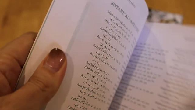 Cheralyn Darcey NEW Flower Petals Affirmation Cards + Oracle Decks Flowerpaedia,