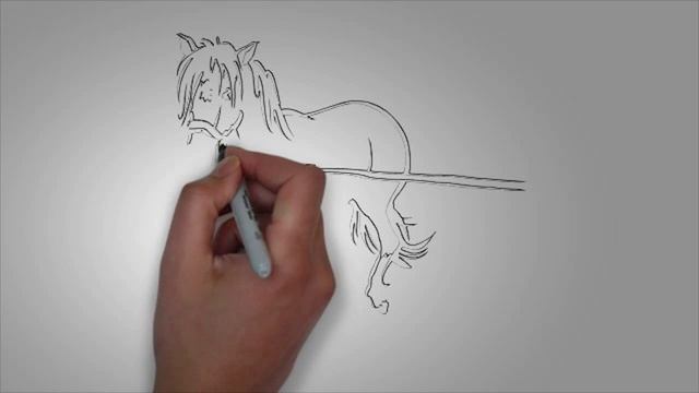 Рисунки лошади. KАК НАРИСОВАТЬ ЛОШАДЬ карандашом смотреть онлайн
