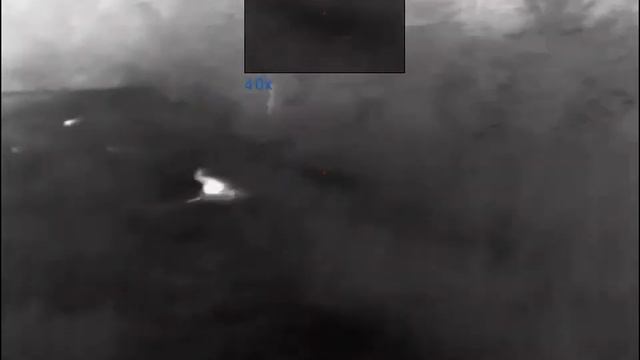 Pulsar trail 2 xp50 lrf смотреть онлайн