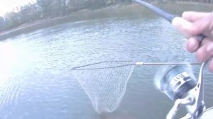 Осенний джиг  Ловля судака на  Дону