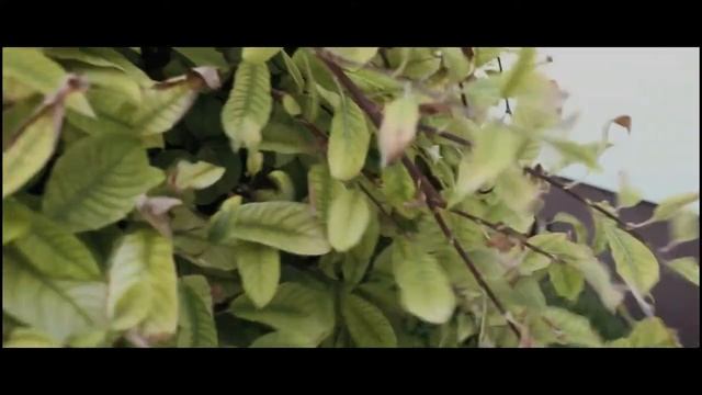 Canon Eos 1200d VIDEO TEST смотреть онлайн