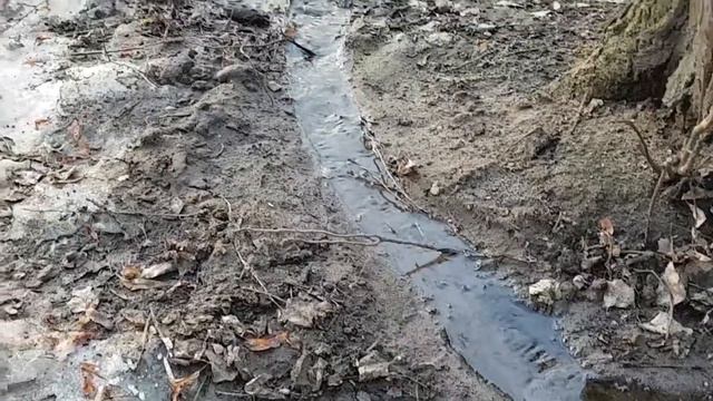 Смена сезона, зима уступает весне смотреть онлайн