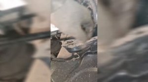 Renault Fluence передний подшипник