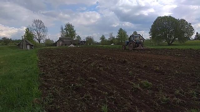 МТЗ 50 на огороде. и аисты. смотреть онлайн