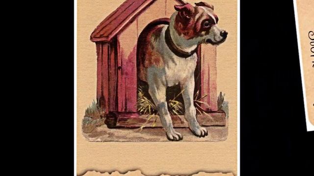 GRANNY'S POSTCARDS Lenormand - full flip through смотреть онлайн