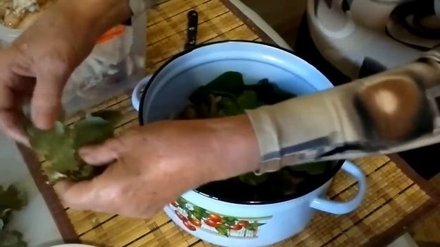 Засолка опят без варки смотреть онлайн