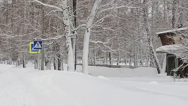 Продвижения по сарафану??Удивительная природа смотреть онлайн