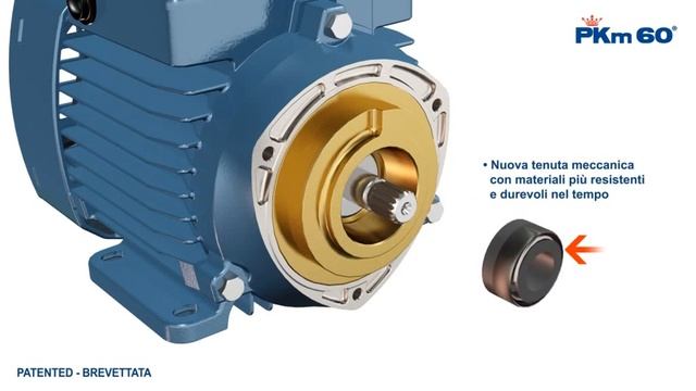 Pedrollo PKm60 Pompa Tanıtımı, Tamir ve Bakım Şekli www.kampa.com.tr смотреть онлайн