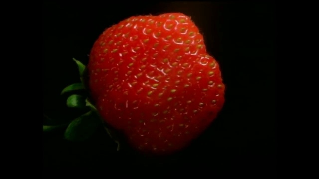 Карточки Домана ДЕНЬ 2