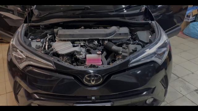 TOYOTA C-HR замена штатных сигналов на сигналы TOYOTA PREMIUM HORN смотреть онлайн