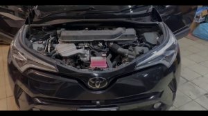 TOYOTA C-HR замена штатных сигналов на сигналы TOYOTA PREMIUM HORN