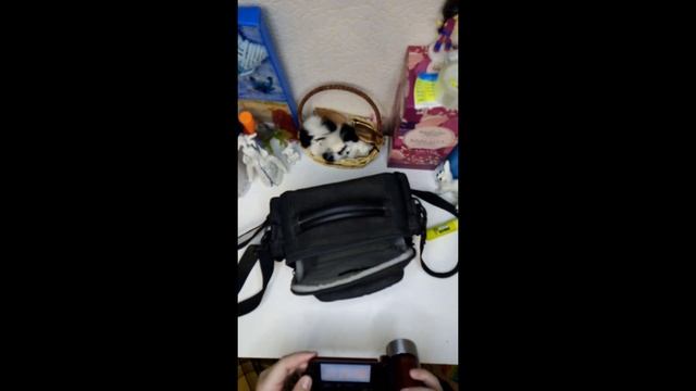 LEGRIA FS306 смотреть онлайн