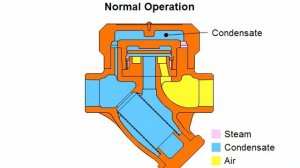 Термодинамический конденсатоотводчик A3N