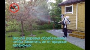 Труд весной. Презентация для детей. Окружающий мир.