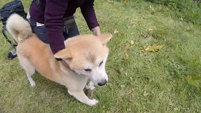 С Рыбалки сразу в Баню I Отдыхаем на Озере Тальмень в Горном Алтае смотреть онлайн