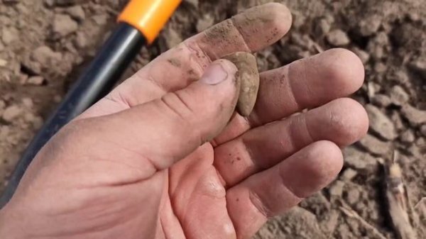 Поиск Клада с NOKTA SIMPLEX+ | Первые на этом хуторе | Как различать монеты на Нокта Симплекс +