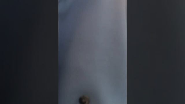 Шерстяное пальто нежно голубого цвета! смотреть онлайн