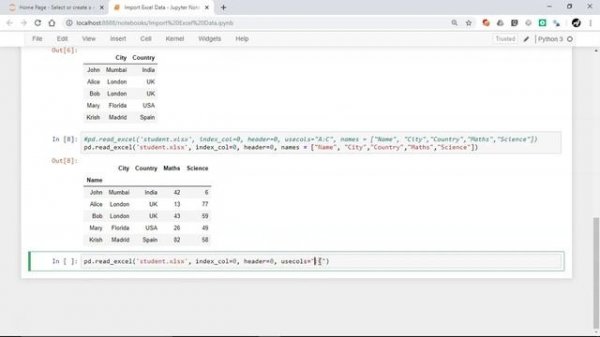 Import Excel data file into python pandas : Read Excel File