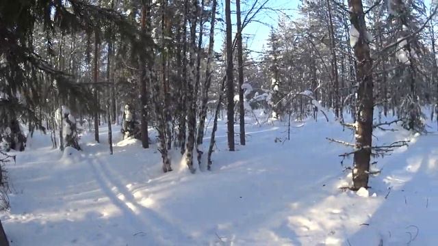 проверка капканов,февраль 2 путик смотреть онлайн