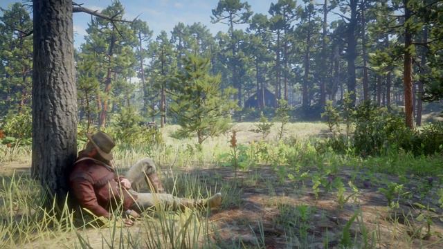 May I Stand Unshaken - High VS Low Honor Version Difference (RDR2) смотреть онлайн