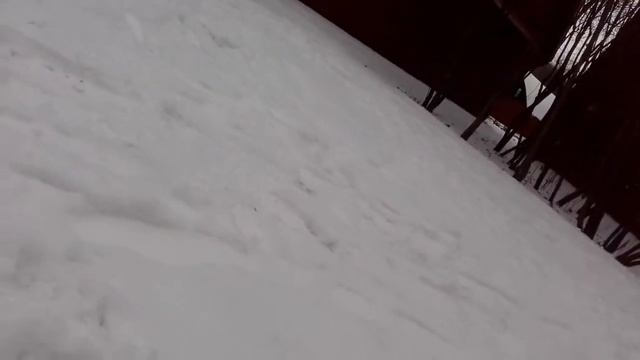 20 ноября 2018 г. смотреть онлайн