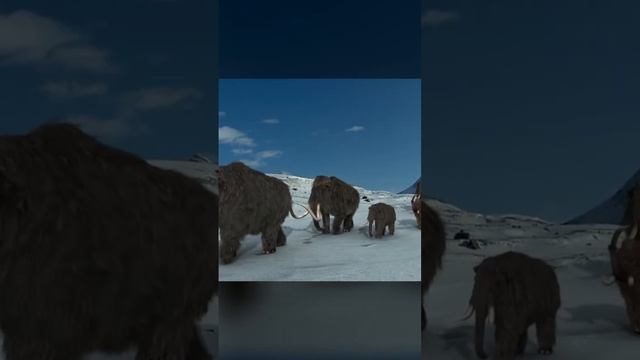Мамонт самое большое существо в мире! #shorts