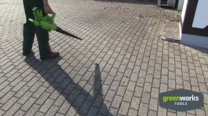 Обзор Воздуходувка ( садовый пылесос ) GREENWORKS GD40BV