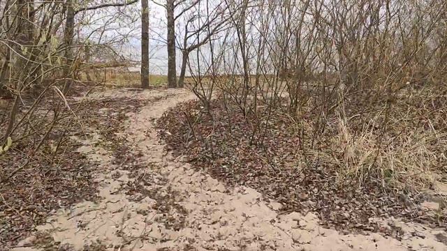 экотропа на форте Шанц смотреть онлайн