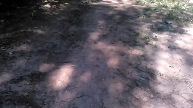 Полупустыня в городах - это озеленение? смотреть онлайн