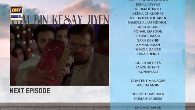 Tum Bin Kesay Jiyen Episode 14 | Teaser | ARY Digital смотреть онлайн