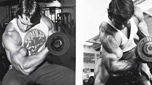 3 best biceps exs of Arnold Shwarzenneger with only dumbbells смотреть онлайн