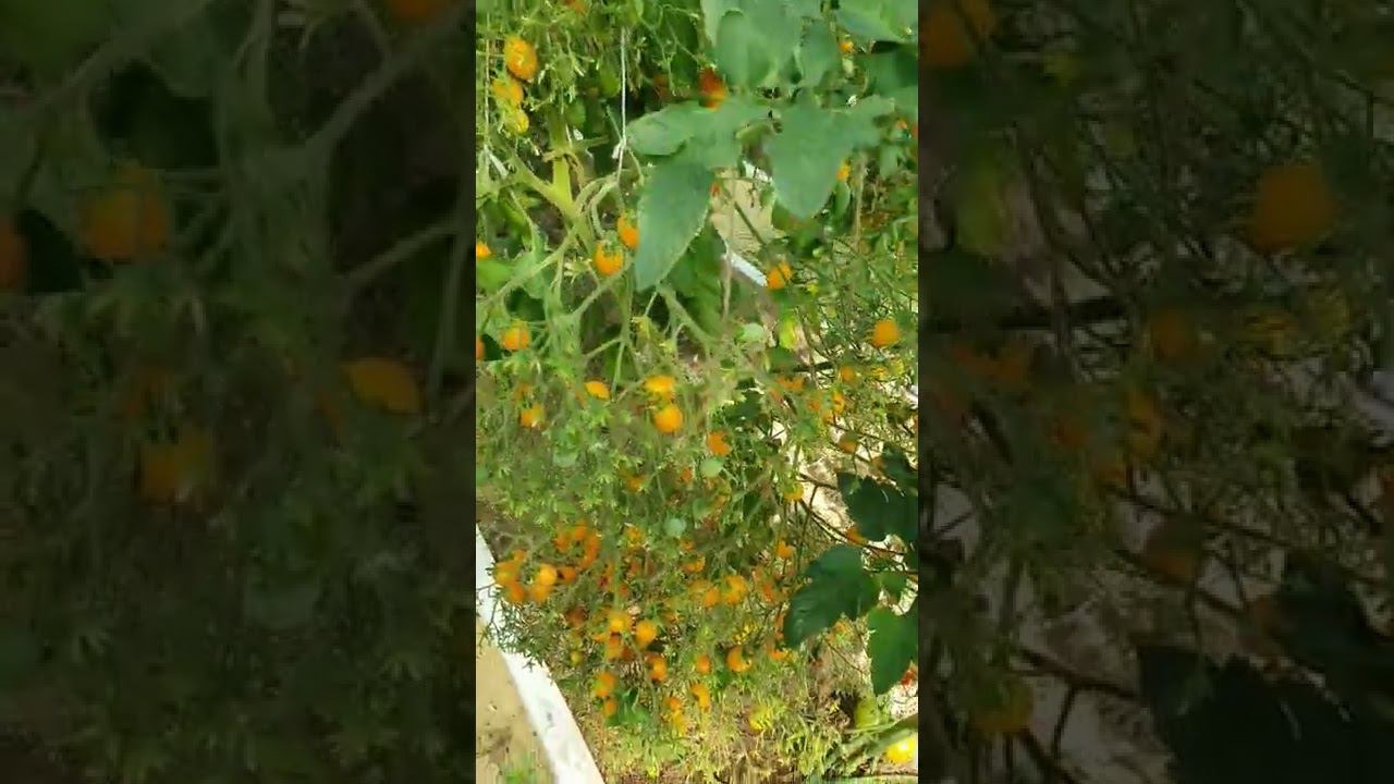 Сплошное разочарование смотреть онлайн