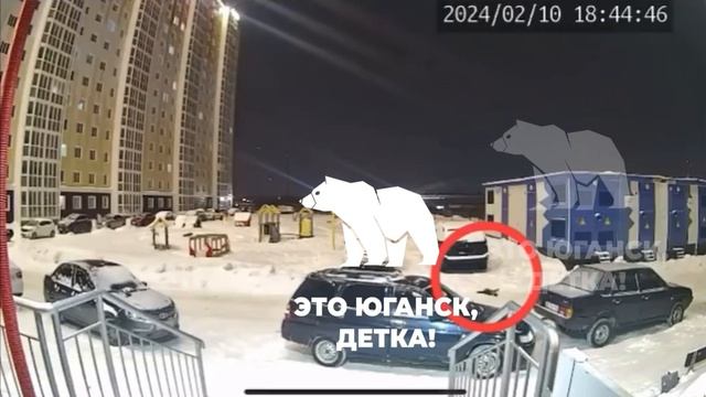 Выбросили кота из окна многоэтажки в Нефтеюганске смотреть онлайн