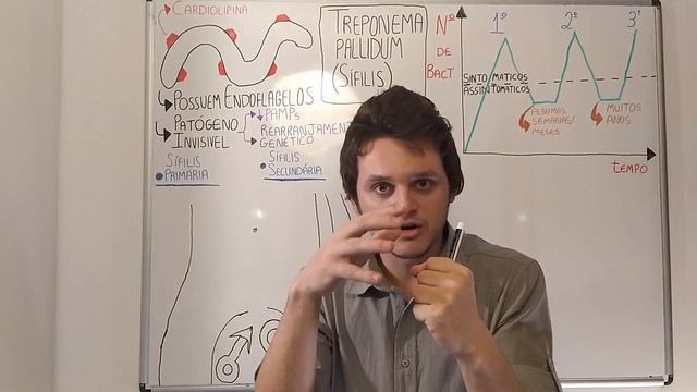 Treponema pallidum (Sífilis) | Curso de bacteriologia | Medicina passo a passo смотреть онлайн