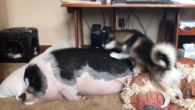 Как балансировать работу и семью