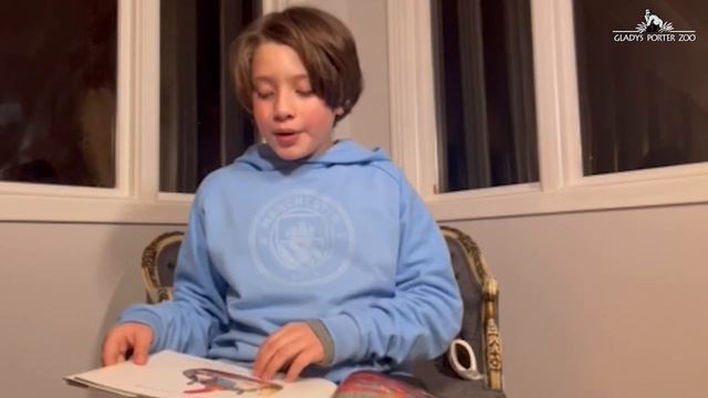 Wild Tales смотреть онлайн