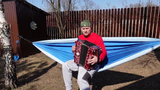 ДАЧНЫЙ АВОСЬ под гармонь | Сударев смотреть онлайн